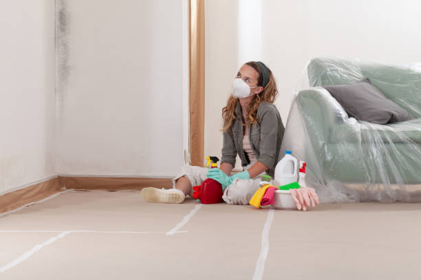 Reliable Mold Testing contractor in Severance, CO by WQB Mold Removal