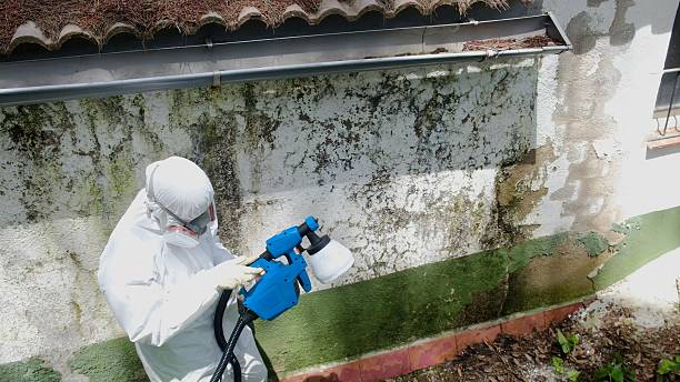 Top rated local Mold Testing specialists in Severance, CO